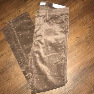 Loft polka dot pants new with tag